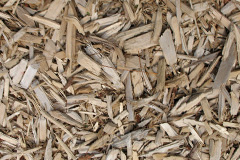 biomass boilers Tuesnoad